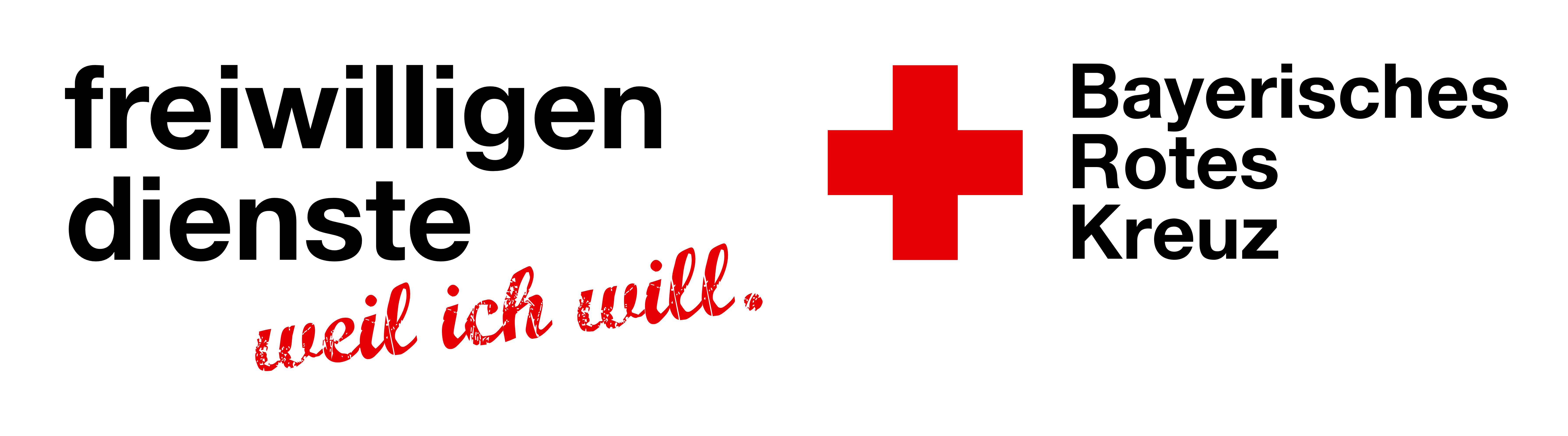 Freiwilligendienst